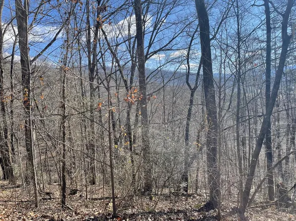 LOT-37C Ash Branch Cir, Hayesville, NC 28904