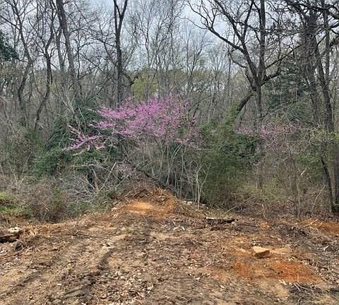 3rd image of 407 Shadow Wood Dr