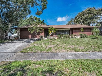 3040 Enisglen Dr, Palm Harbor, FL, 34683