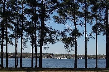 3rd image of 56 Lake Blf