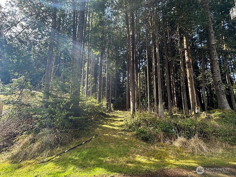 2nd image of 44 Robin Lane
