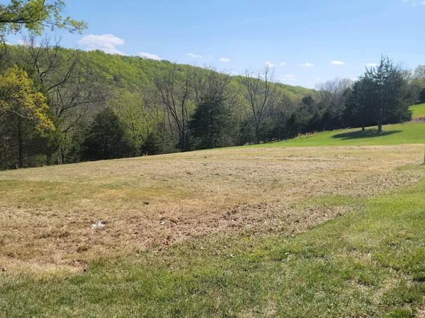 0 Point Dr, Petersburg, WV 26847