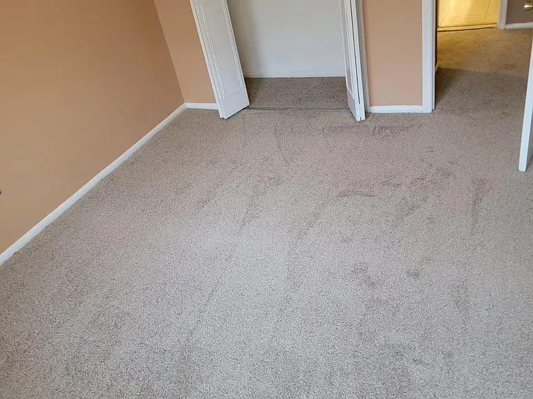 12121 Dove Cir — Photo 3