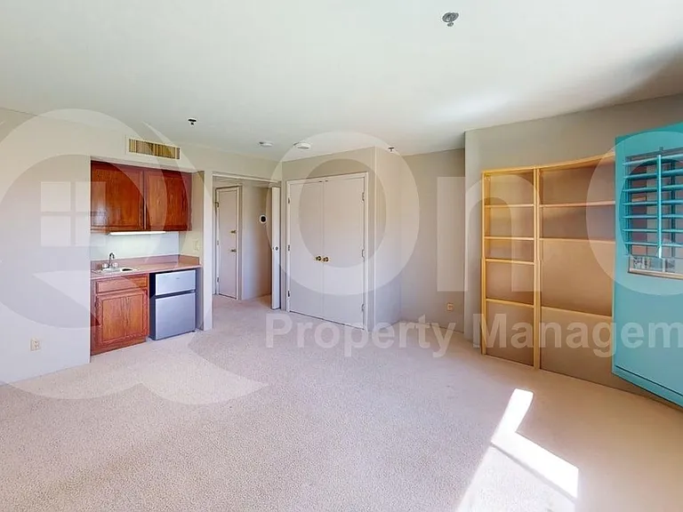 3663 W Placita Del Correcaminos — Photo 4