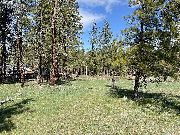 2nd image of Leaning Pine Ln #6