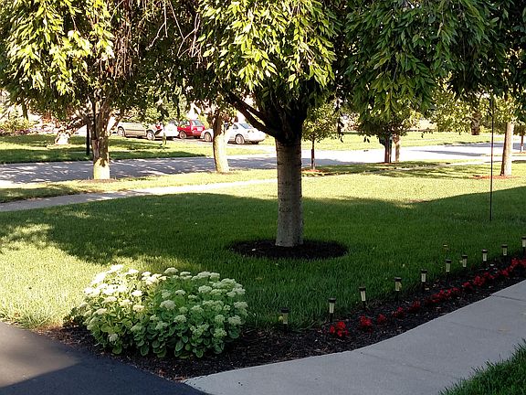 3rd image of 2507 Revilla Dr