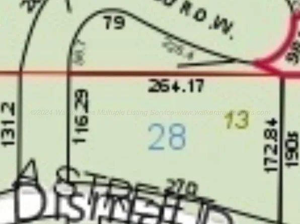 13 Little Dismal Rd, Arley, AL 35541