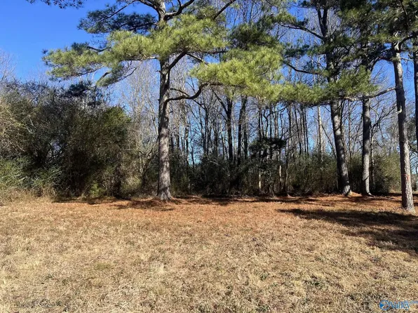 1 A County Rd #1375, Falkville, AL 35622