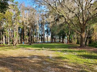 17509 Brown Rd, Odessa, FL 33556