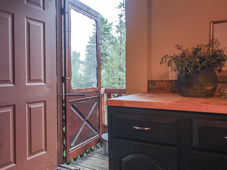 Back porch door off the kitchen