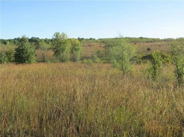 3 Liv 259, Chillicothe, MO 64601