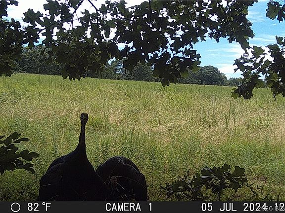 5th image of 26645 135th Hwy