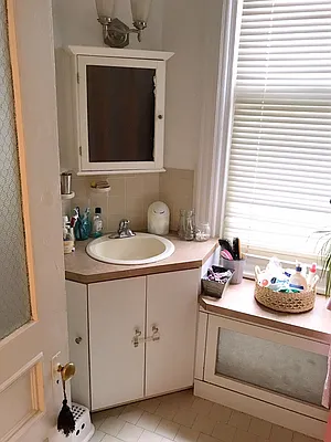 Rented by Rapid Realty Cobble Hill | media 29