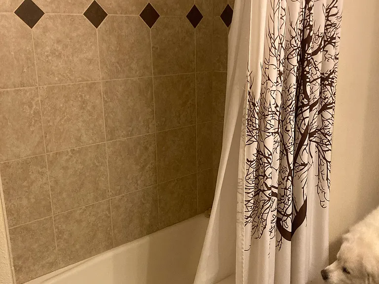 Hallway bathroom