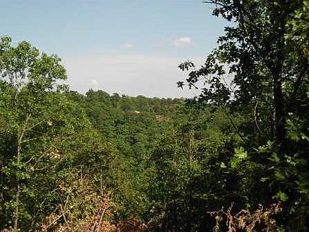 3rd image of County Road 309 Rd