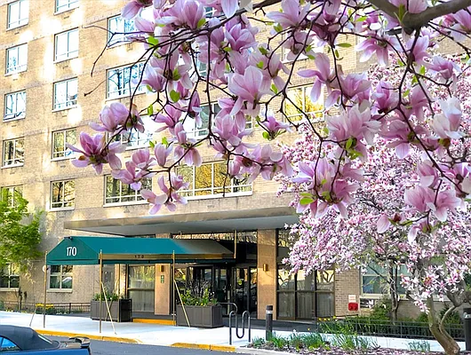 Sold by Corcoran | media 8