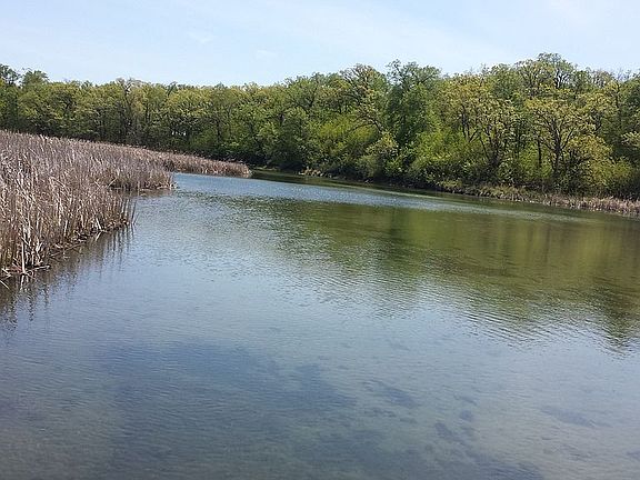 ottertail river