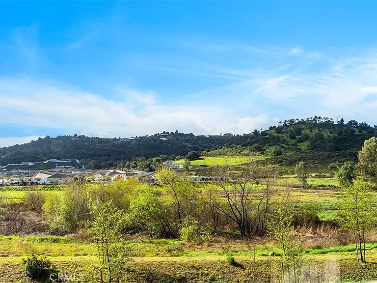 28427 Farm Creek Way — Photo 28