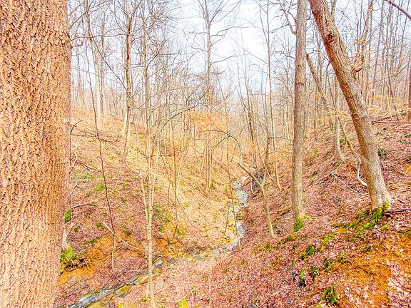 3rd image of 0 Turkey Ridge Rd