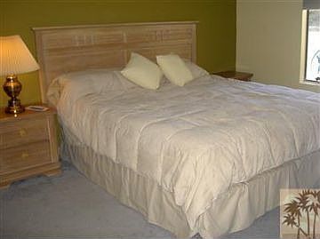 3rd image of 351 E Via Carisma APT 86