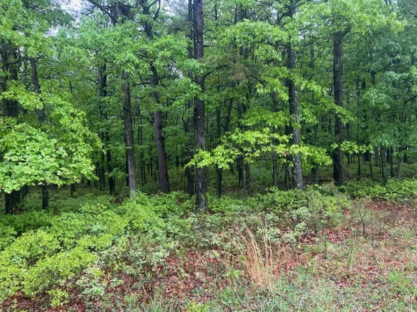 A301 Dew Drop Dr, Jim Thorpe, PA 18229