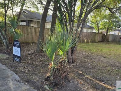 615 W 42nd St, Savannah, GA, 31415