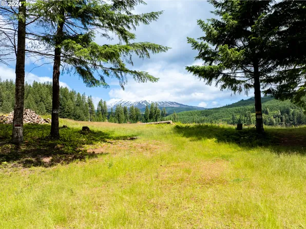 LOT 2 Swift Crk, Cougar, WA 98616