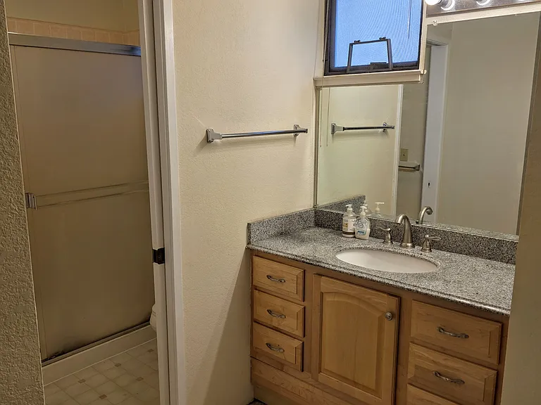 Master suite bath area