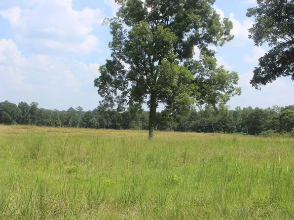 12775 County Road 747, Hanceville, AL 35077