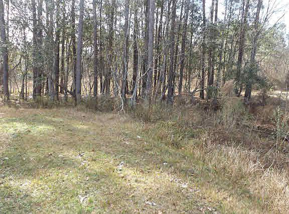 3rd image of 22950 Wolf Bay Dr