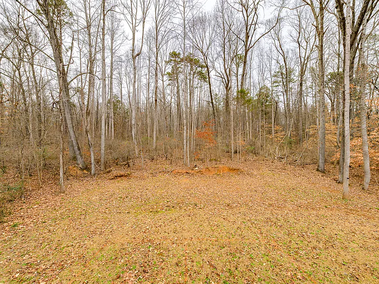 112 Pine Bluff Ct — Photo 21
