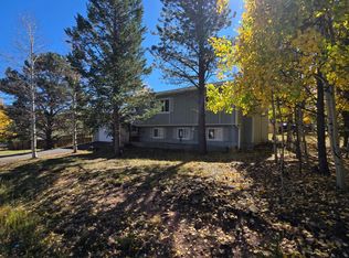 868 Northwoods Dr E, Woodland Park, CO 80863