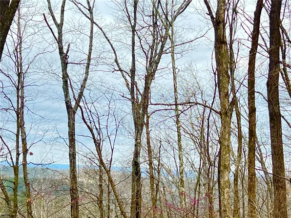 County Road 246 0 7 #265-00160-8, Berryville, AR 72616