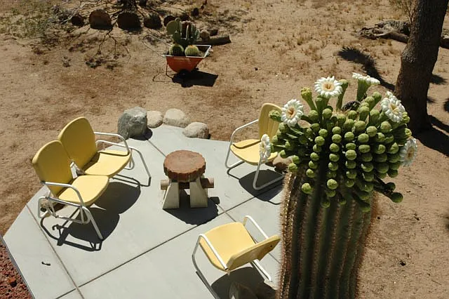 Desert Way, Joshua Tree — Photo 3