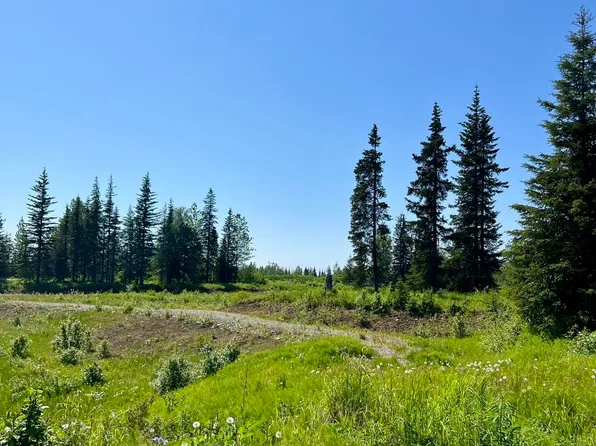 34708 N Fork Rd, Anchor Point, AK 99556