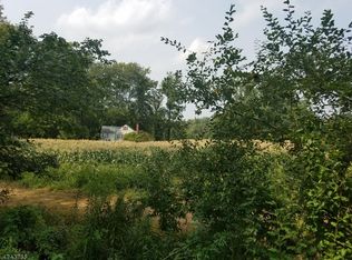 2 Four Bridges Rd, Chester, NJ 07930