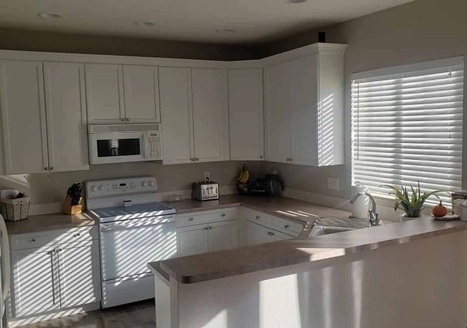 3 Bedroom Home in desirable Meadows Neighborhood- Community Pool Access at the Grange! — Photo 3