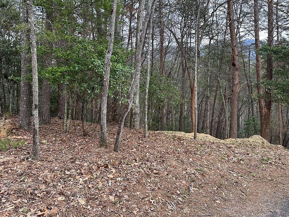 2nd image of LOT 115 Asheland Cove Dr