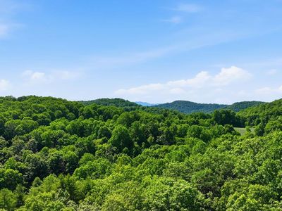 281 Buck Knob Rd, Scaly Mountain, NC, 28775