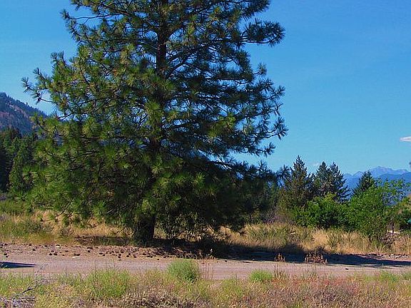 methowvalleyland.com