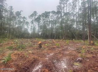 406 Whispering Pines Rd, Georgetown, FL 32139