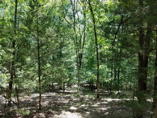 Park Rd, Rogers, AR 72756