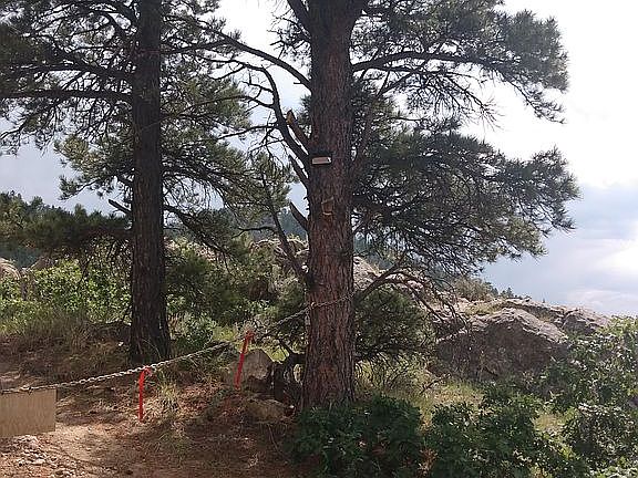 2nd image of 736 Alta Mira Dr