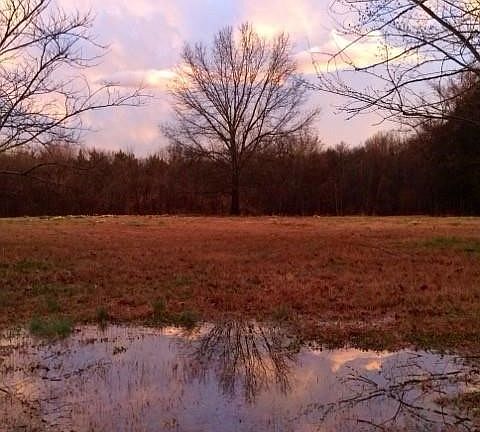 5th image of 19763 Pug Gayer Rd