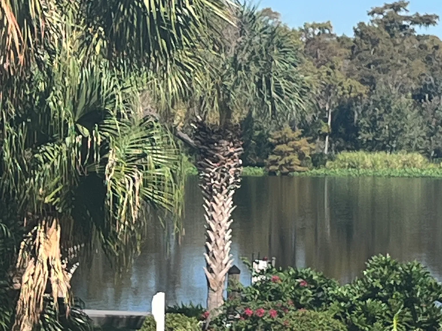 3 bed, 3.5 bath, 1800 sqft, $2,200 — Photo 2