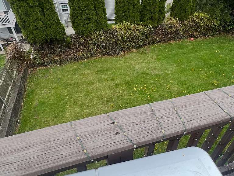 Private yard for your use only