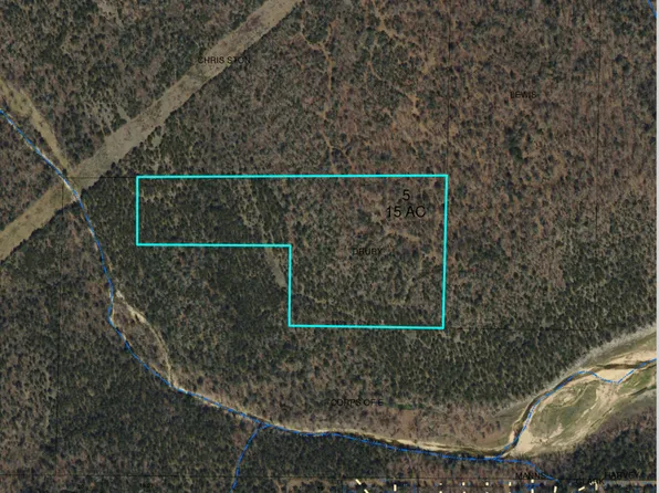 000 160 Hwy, Theodosia, MO 65761