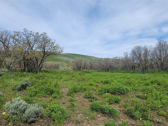3rd image of 24425 Lone Tooth Trail