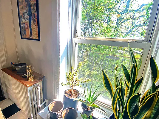 Rented by Douglas Elliman | media 31