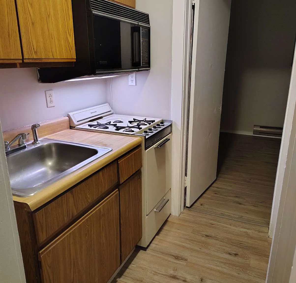 1 bed, 950 sqft, $1,000 — Photo 3